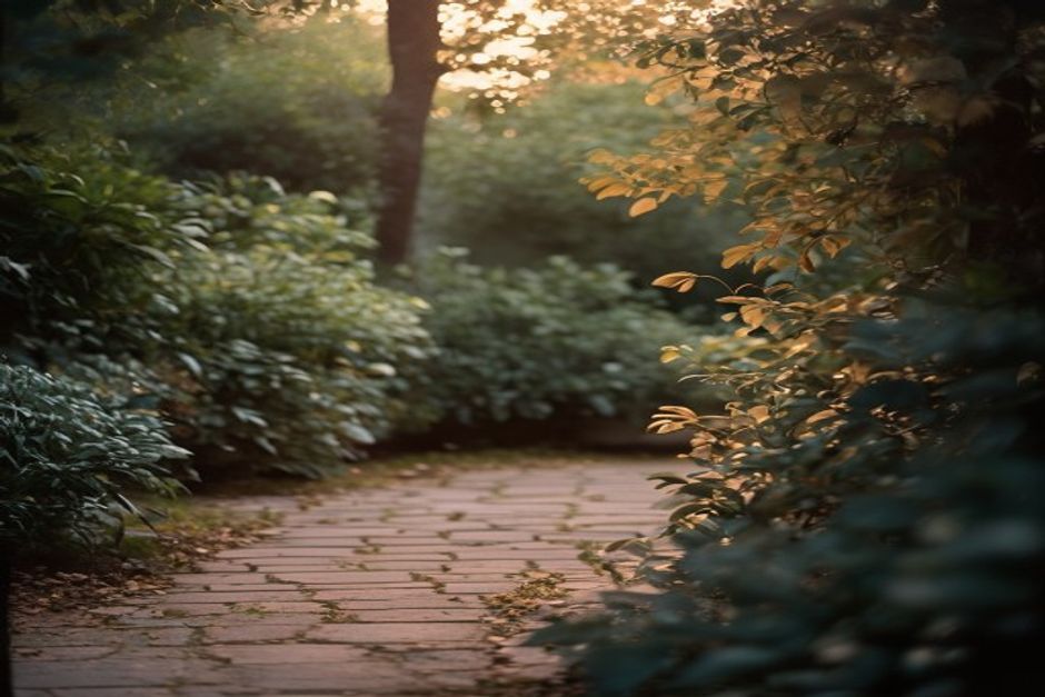 Peaceful garden at twilight with soft foliage and natural shadows